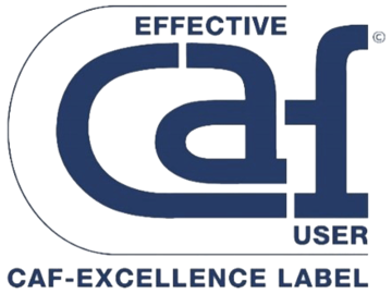 Common Assessment Framework ‒ CAF